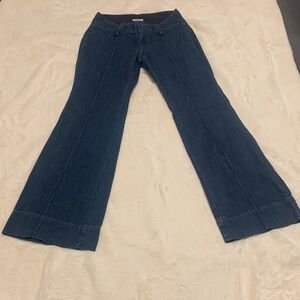 Banana Republic Dark Blue Wide Leg Jeans